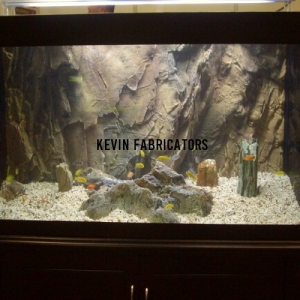 Fish Tank Backdrop
